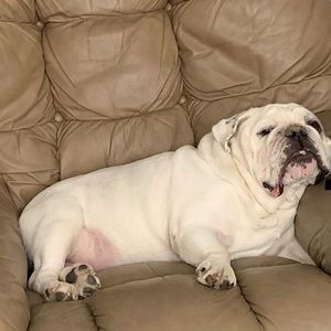 Meet your Posher, Madison